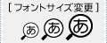 文字のサイズを変更